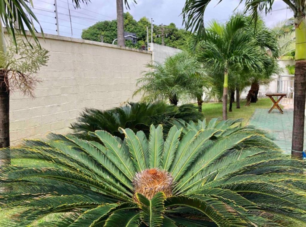 Apt2 Piscina Netflix Wifi Ar Cond Prox A 2 Shoppigns Fortaleza Dış mekan fotoğraf